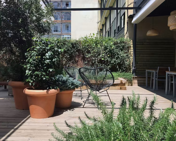 Patio interior
